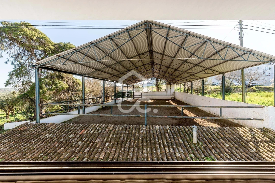 Quinta T10 para Venda em Santo Agostinho e São João Baptista e Santo Amador Foto 65