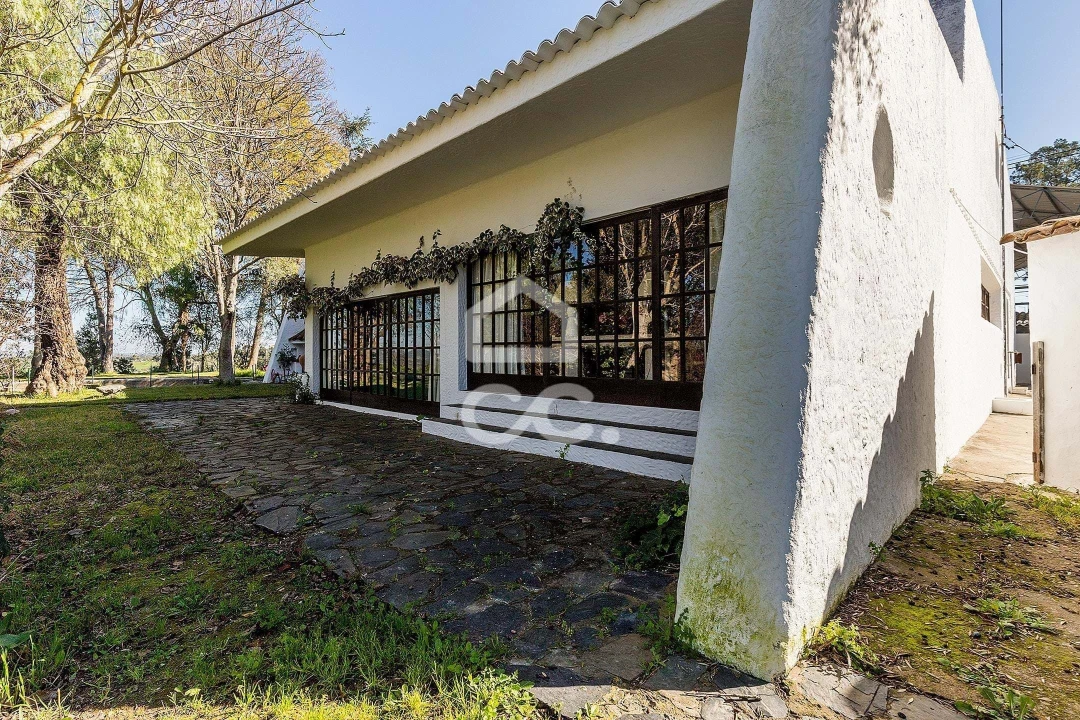 Quinta T10 para Venda em Santo Agostinho e São João Baptista e Santo Amador Foto 78