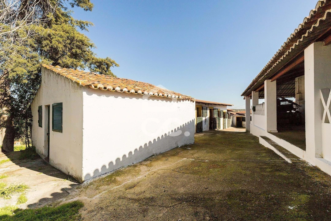 Quinta T10 para Venda em Santo Agostinho e São João Baptista e Santo Amador Foto 110