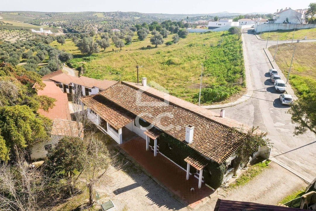 Quinta T10 para Venda em Santo Agostinho e São João Baptista e Santo Amador Foto 4