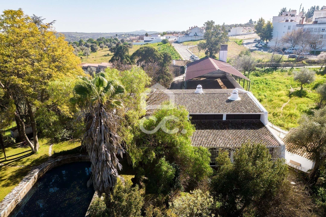 Quinta T10 para Venda em Santo Agostinho e São João Baptista e Santo Amador Foto 98