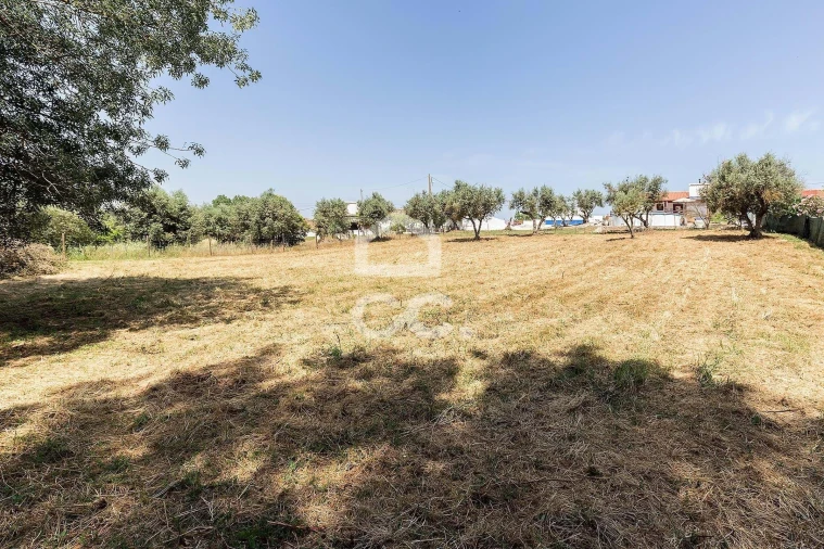 Quinta T3 para Venda em Ameixial (Santa Vitória e São Bento) Foto 57