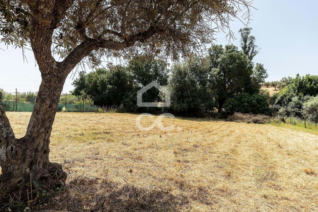 Quinta T3 para Venda em Ameixial (Santa Vitória e São Bento) Foto 55