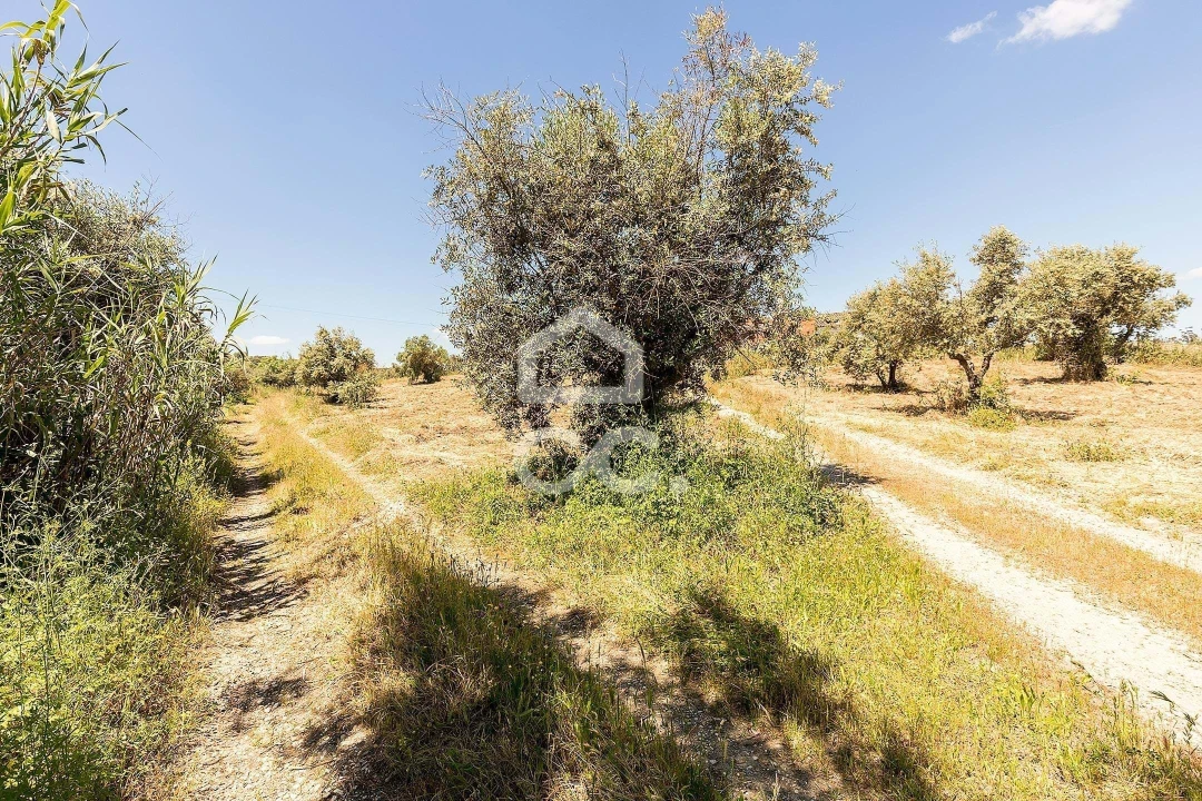 Quinta T3 para Venda em Capelins (Santo Antonio) Foto 29