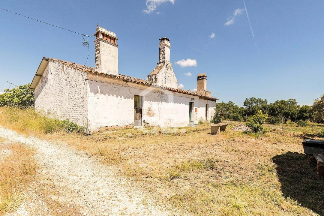 Quinta T3 para Venda em Capelins (Santo Antonio) Foto 19