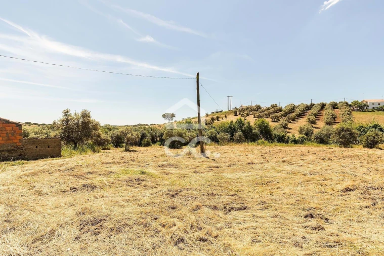 Quinta T3 para Venda em Capelins (Santo Antonio) Foto 33