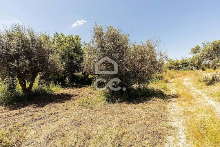 Quinta T3 para Venda em Capelins (Santo Antonio) Foto 32