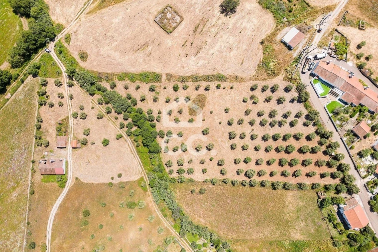 Quinta T3 para Venda em Capelins (Santo Antonio) Foto 35