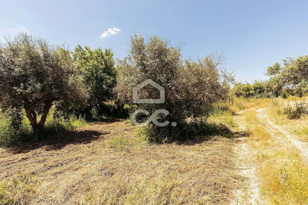 Quinta T3 para Venda em Capelins (Santo Antonio) Foto 32