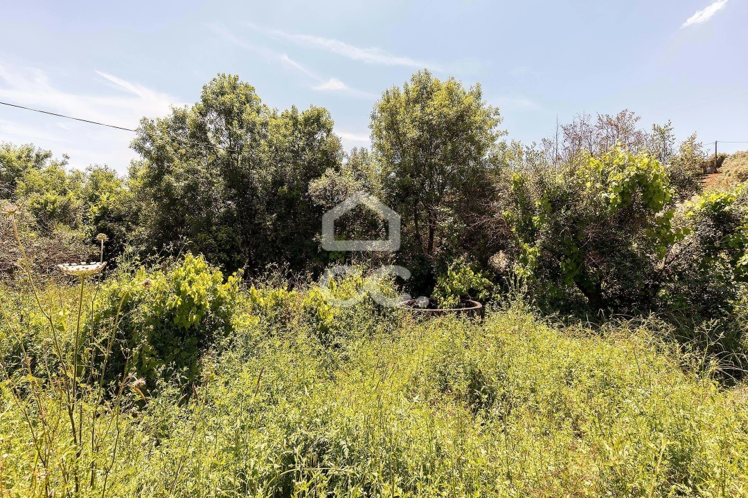 Quinta T3 para Venda em Capelins (Santo Antonio) Foto 30