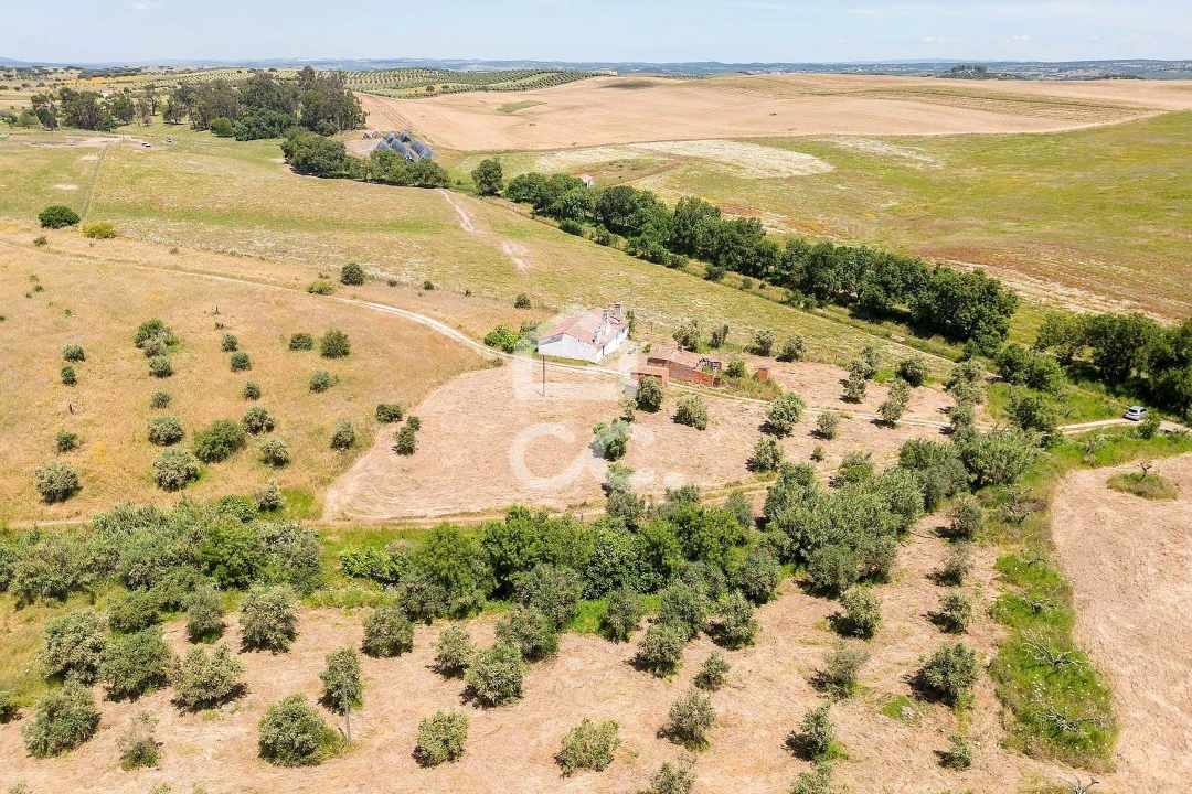 Quinta T3 para Venda em Capelins (Santo Antonio) Foto 34