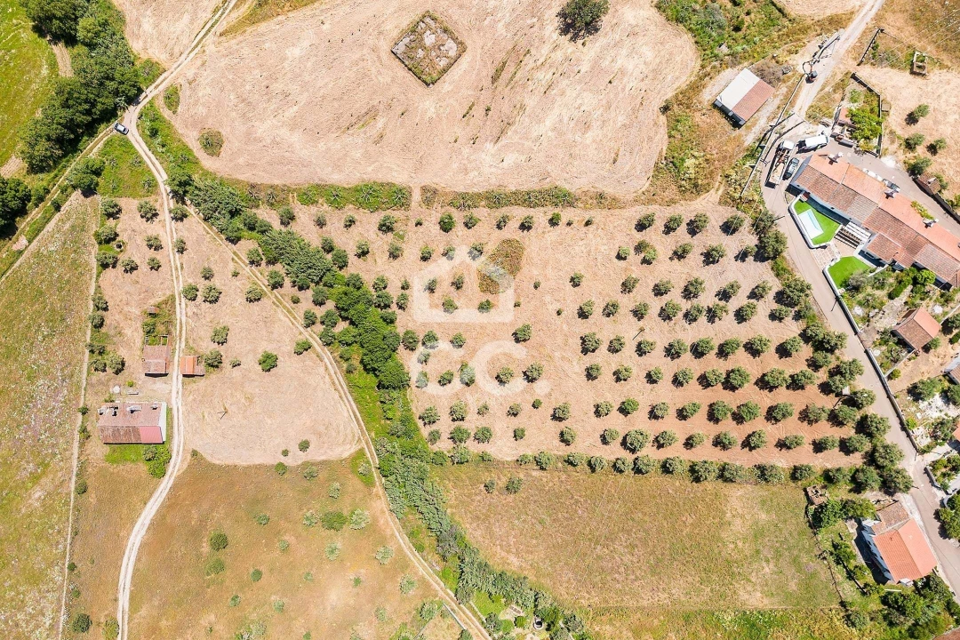 Quinta T3 para Venda em Capelins (Santo Antonio) Foto 35