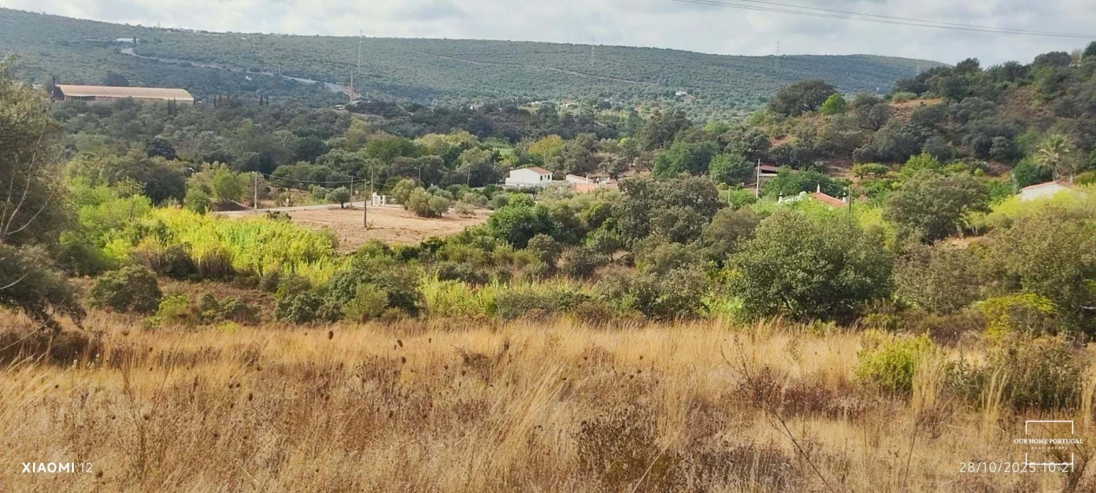 Terreno para Venda em Loule (São Clemente) Foto 3