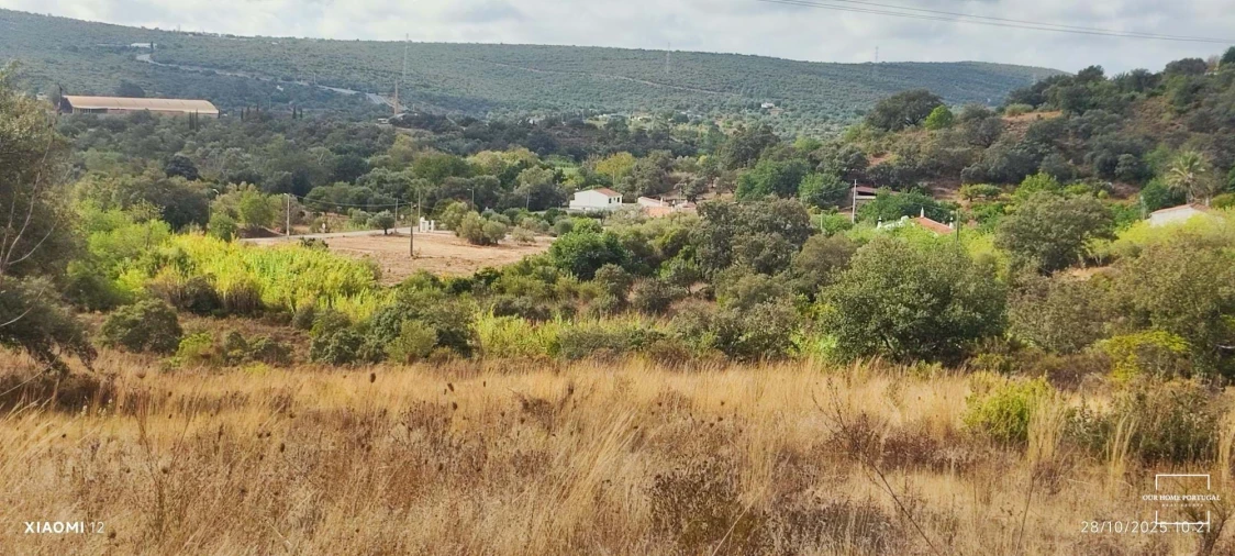 Terreno para Venda em Loule (São Clemente) Foto 3