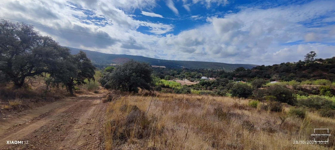 Terreno para Venda em Loule (São Clemente) Foto 15