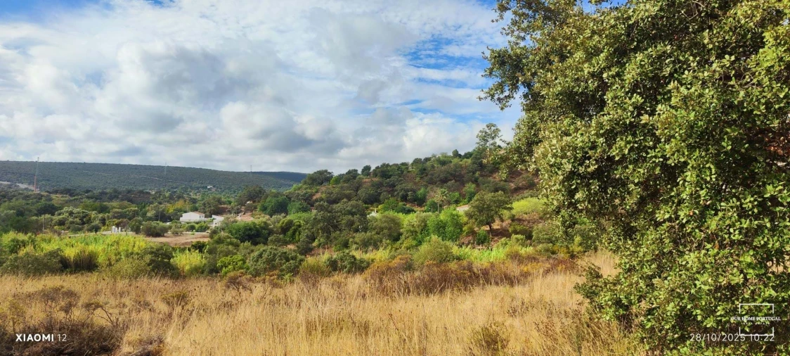 Terreno para Venda em Loule (São Clemente) Foto 2