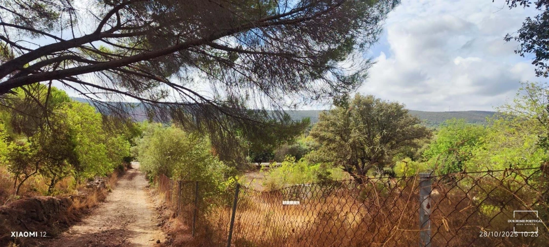 Terreno para Venda em Loule (São Clemente) Foto 16