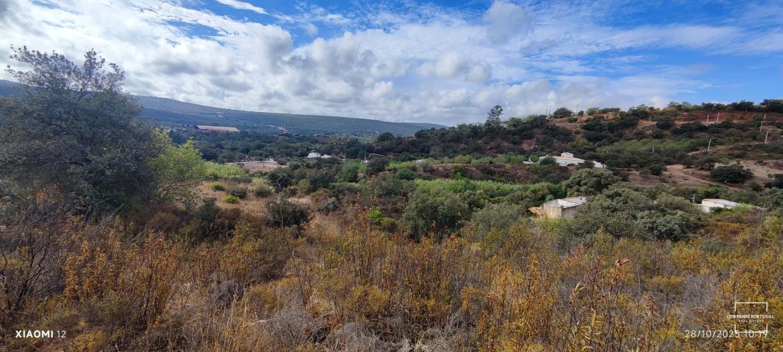 Terreno para Venda em Loule (São Clemente) Foto 8