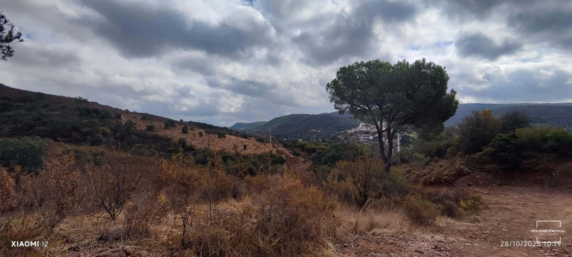 Terreno para Venda em Loule (São Clemente) Foto 10