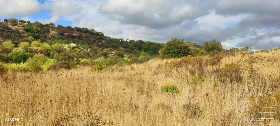 Terreno para Venda em Loule (São Clemente) Foto 4