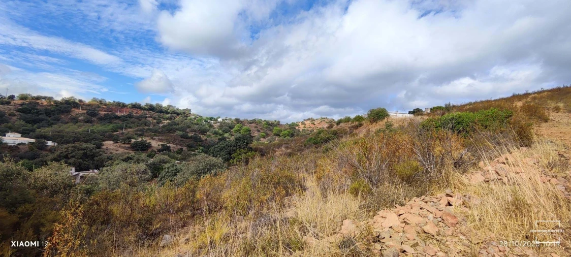 Terreno para Venda em Loule (São Clemente) Foto 7