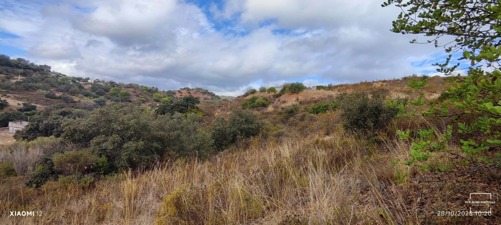 Terreno para Venda em Loule (São Clemente) Foto 12