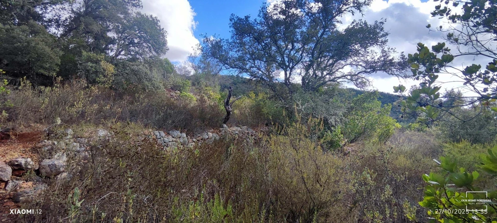 Terreno para Venda em Loule (São Clemente) Foto 32