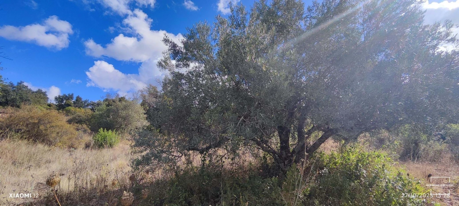 Terreno para Venda em Loule (São Clemente) Foto 24