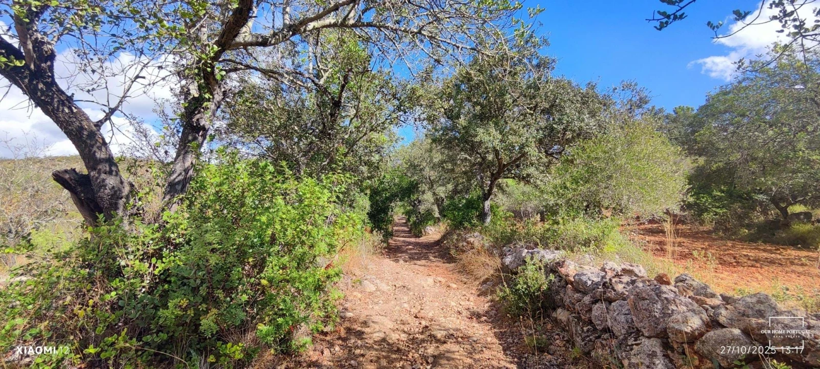 Terreno para Venda em Loule (São Clemente) Foto 19