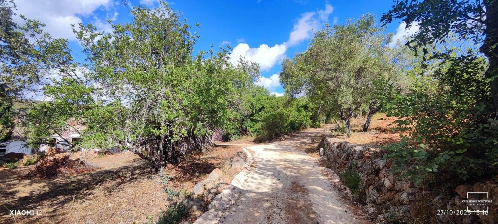 Terreno para Venda em Loule (São Clemente) Foto 18