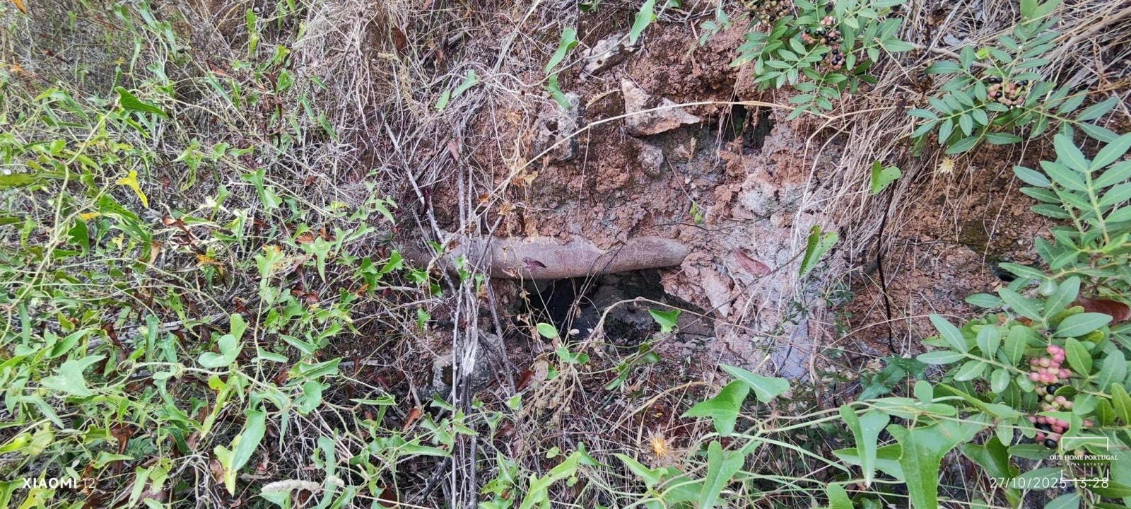 Terreno para Venda em Loule (São Clemente) Foto 25