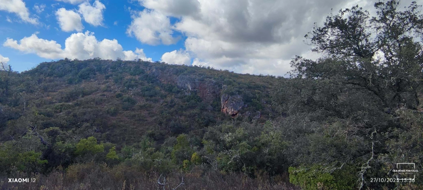 Terreno para Venda em Loule (São Clemente) Foto 33