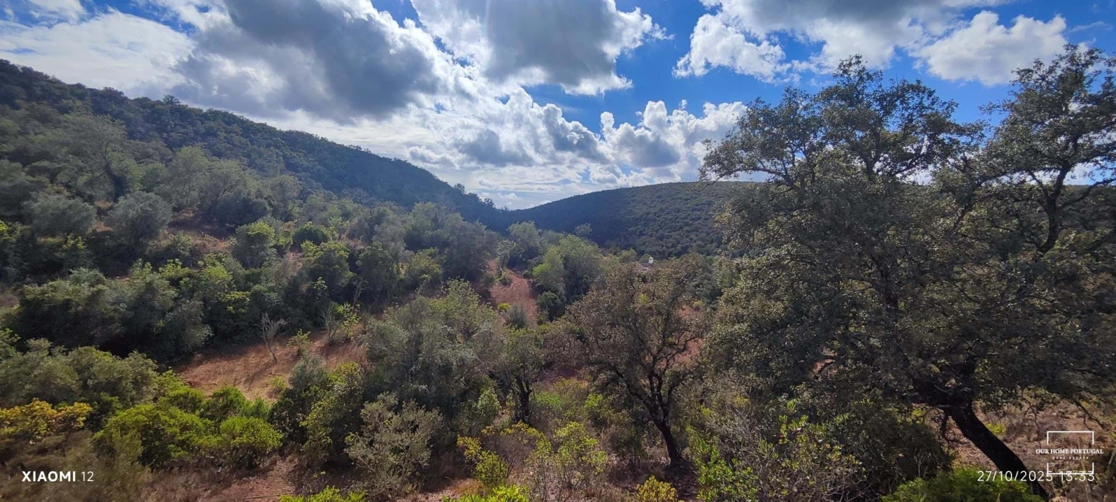 Terreno para Venda em Loule (São Clemente) Foto 11