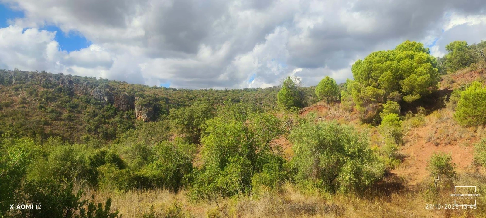 Terreno para Venda em Loule (São Clemente) Foto 1