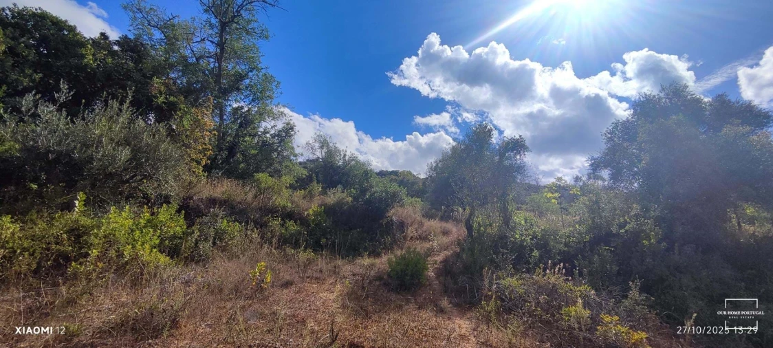 Terreno para Venda em Loule (São Clemente) Foto 26