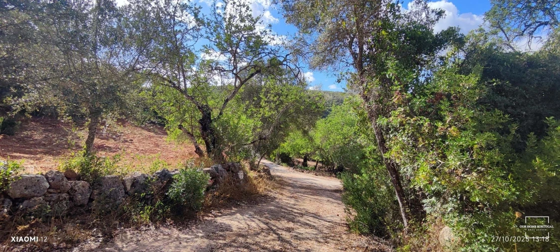 Terreno para Venda em Loule (São Clemente) Foto 20