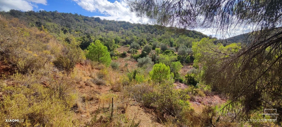 Terreno para Venda em Loule (São Clemente) Foto 4