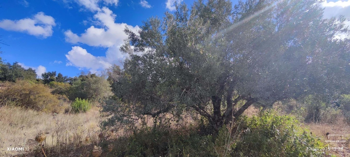 Terreno para Venda em Loule (São Clemente) Foto 24