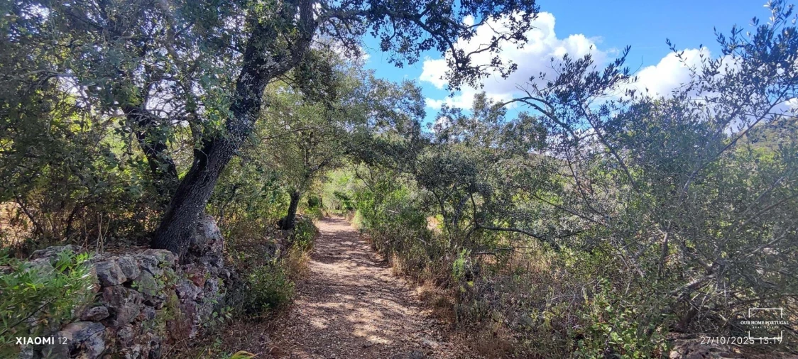 Terreno para Venda em Loule (São Clemente) Foto 22