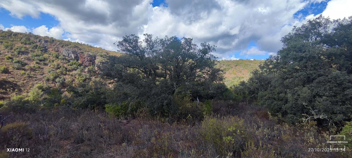 Terreno para Venda em Loule (São Clemente) Foto 31