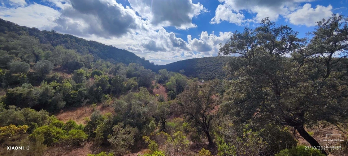 Terreno para Venda em Loule (São Clemente) Foto 11