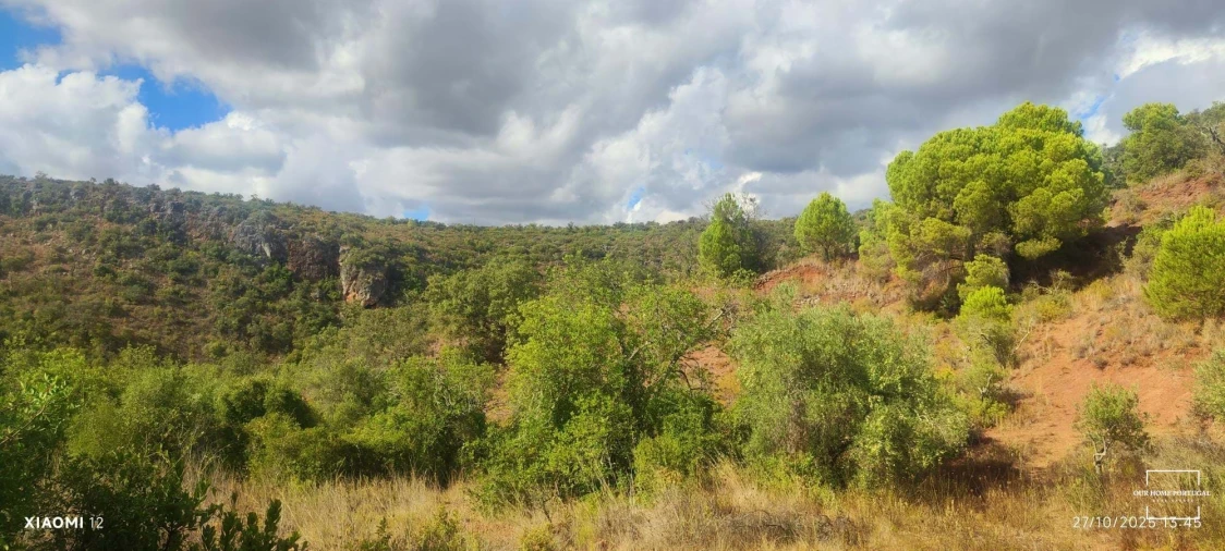 Terreno para Venda em Loule (São Clemente)
