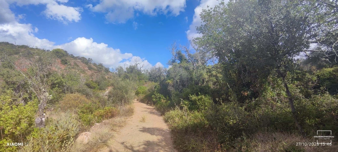 Terreno para Venda em Loule (São Clemente) Foto 35