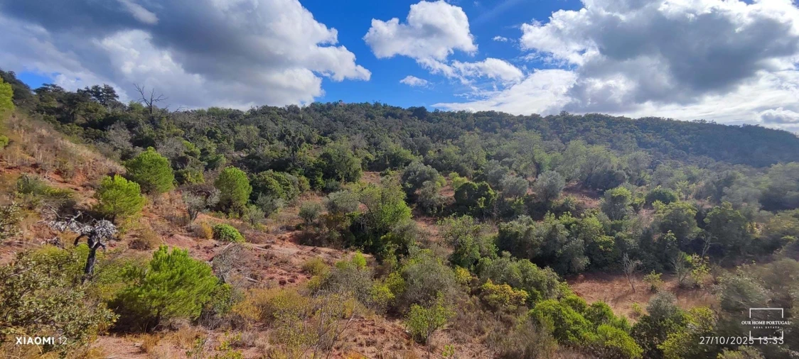 Terreno para Venda em Loule (São Clemente) Foto 9