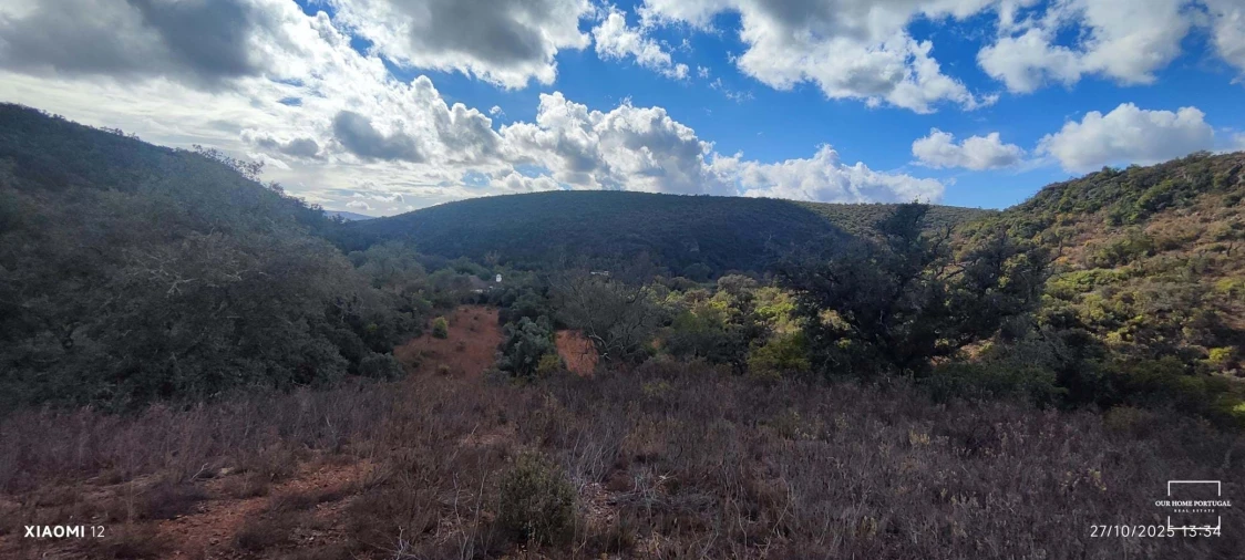 Terreno para Venda em Loule (São Clemente) Foto 30