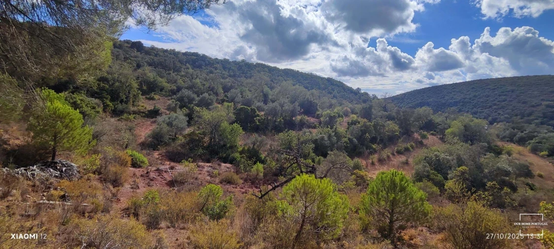 Terreno para Venda em Loule (São Clemente) Foto 5