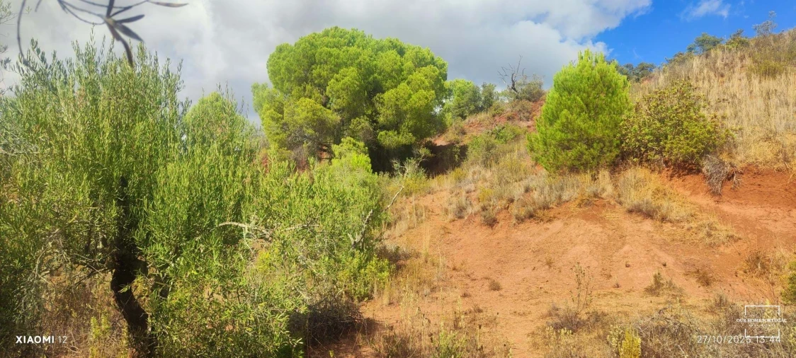 Terreno para Venda em Loule (São Clemente) Foto 16