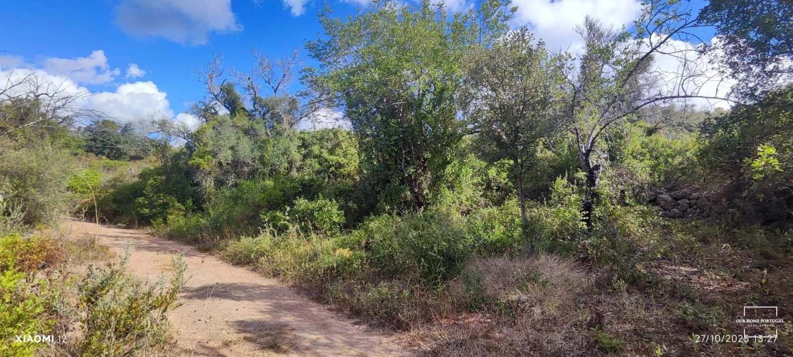 Terreno para Venda em Loule (São Clemente) Foto 23