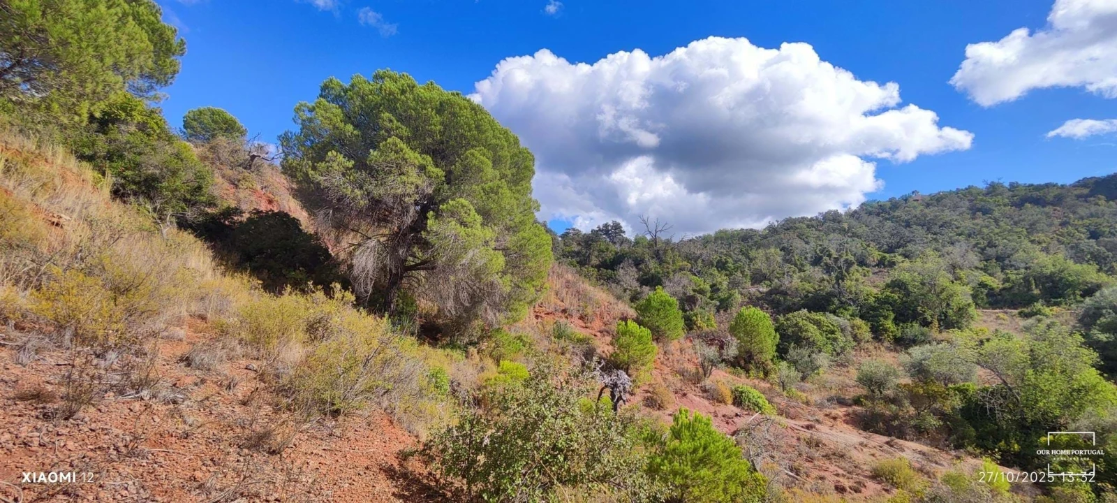 Terreno para Venda em Loule (São Clemente) Foto 7