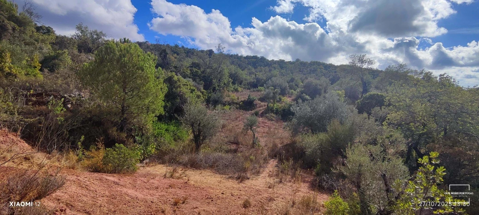 Terreno para Venda em Loule (São Clemente) Foto 8